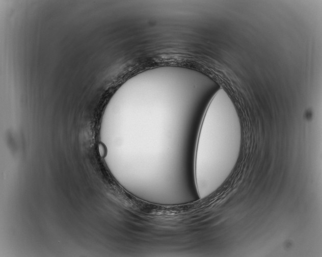 X0000100190751200805300724
