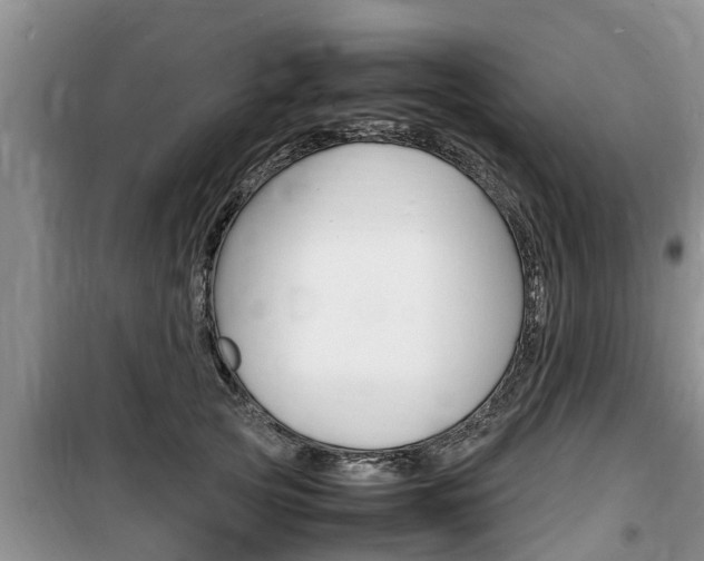 X0000100190753200805300724