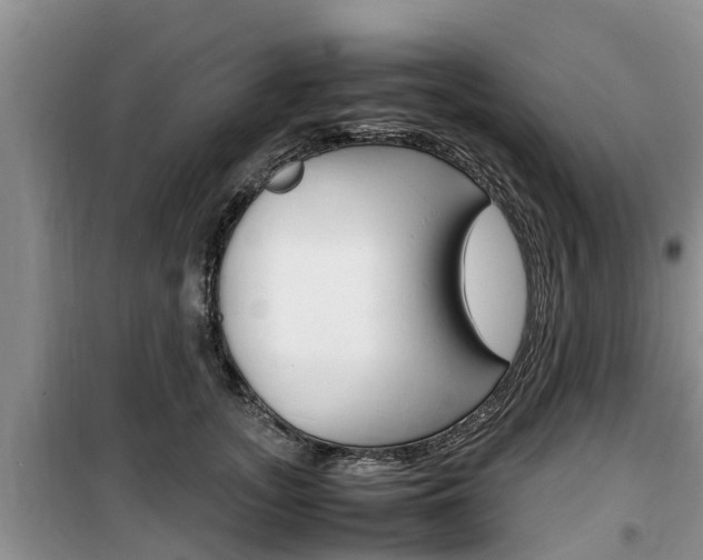 X0000100190755200805300724