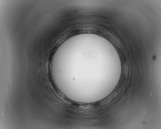 X0000100190757200805300724
