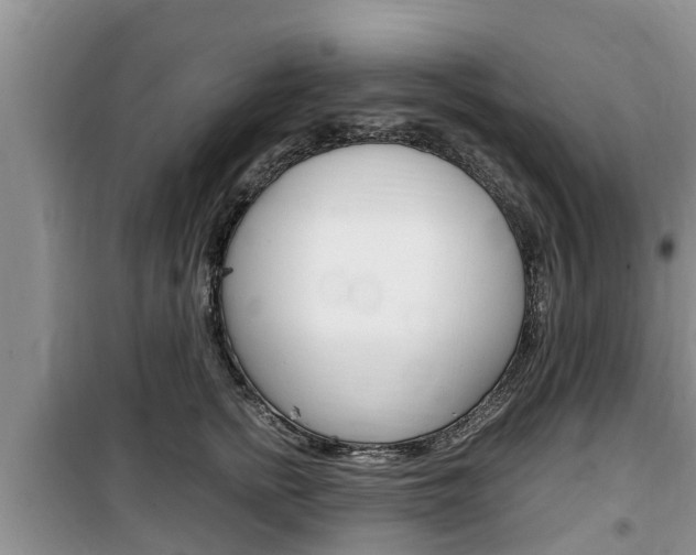 X0000100190758200805300724
