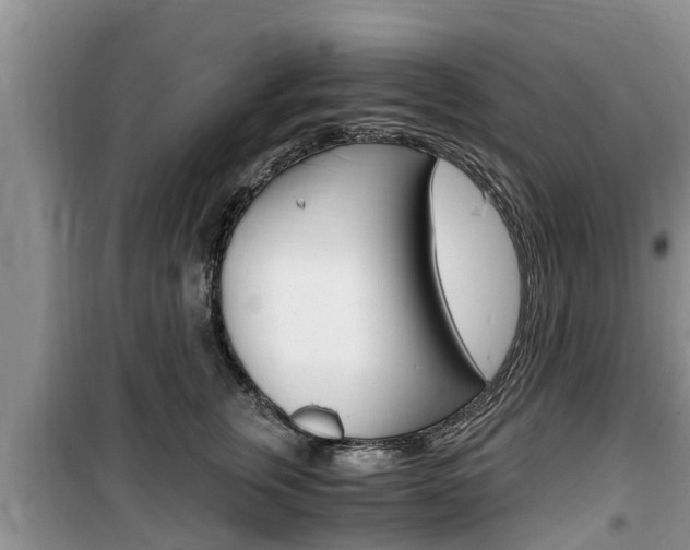 X0000100190759200805300724