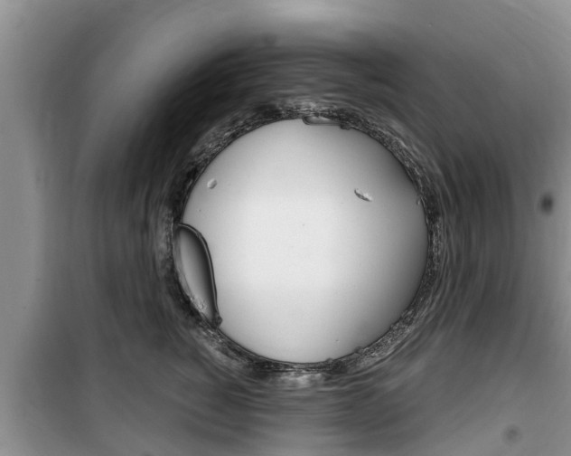 X0000100190760200805300724