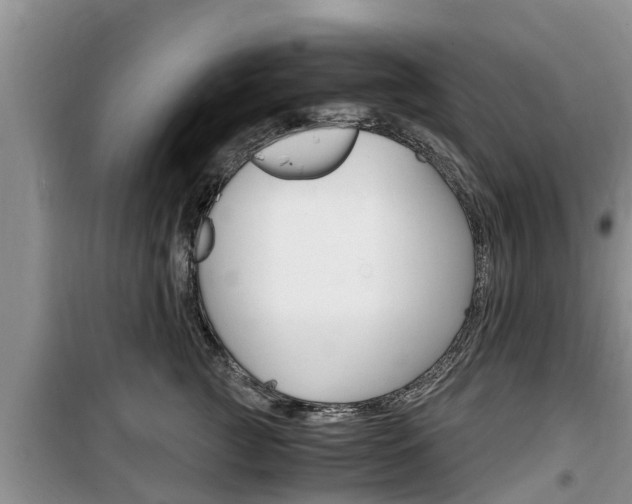 X0000100190761200805300724