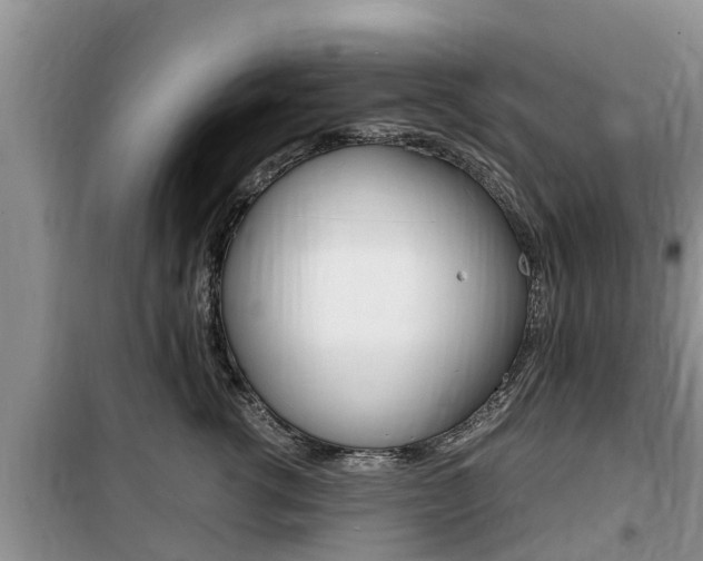 X0000100190762200805300724