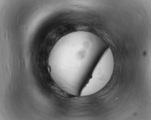 X0000100190763200805300724