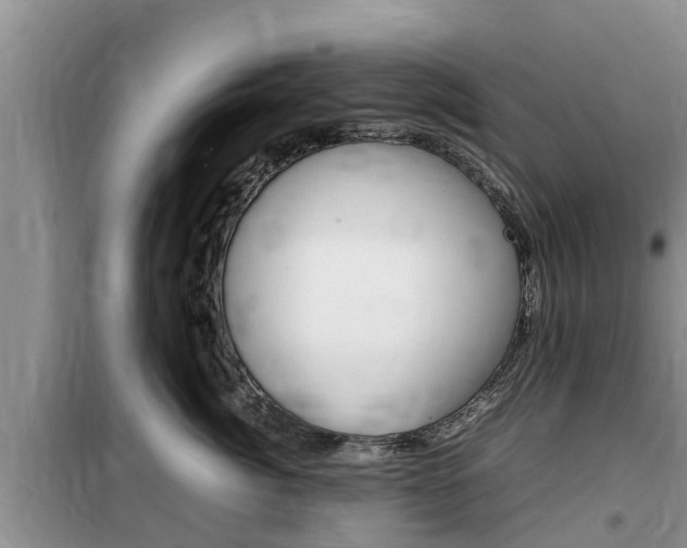 X0000100190764200805300724