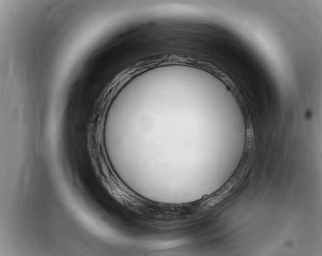 X0000100190765200805300724