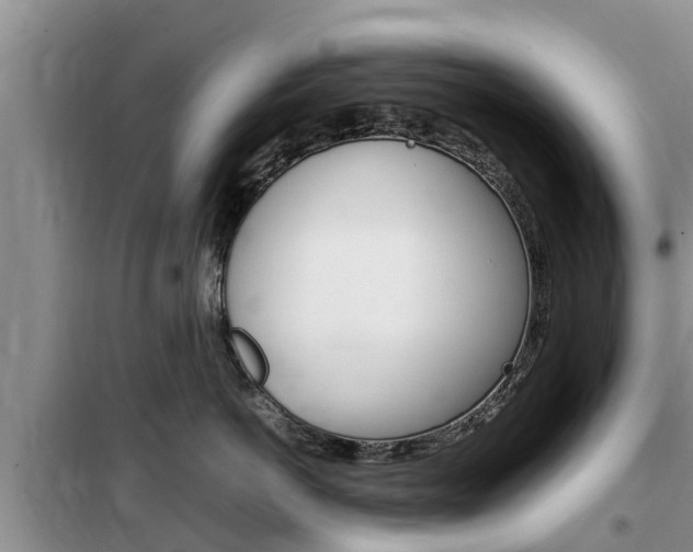 X0000100190766200805300724