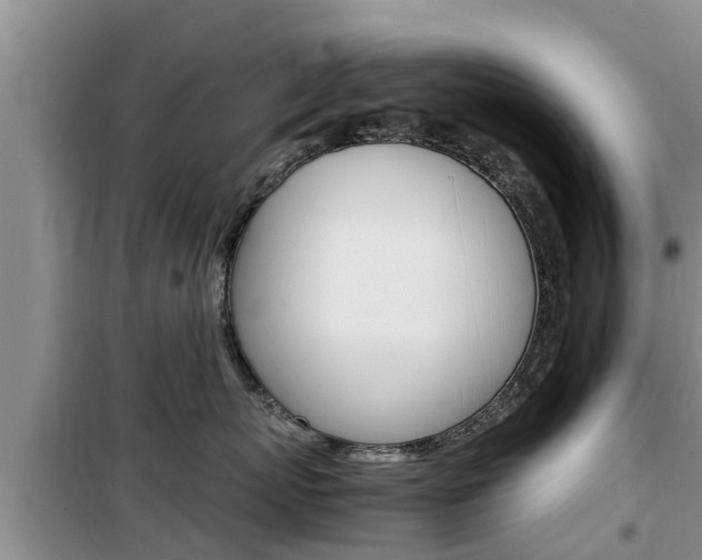 X0000100190767200805300724