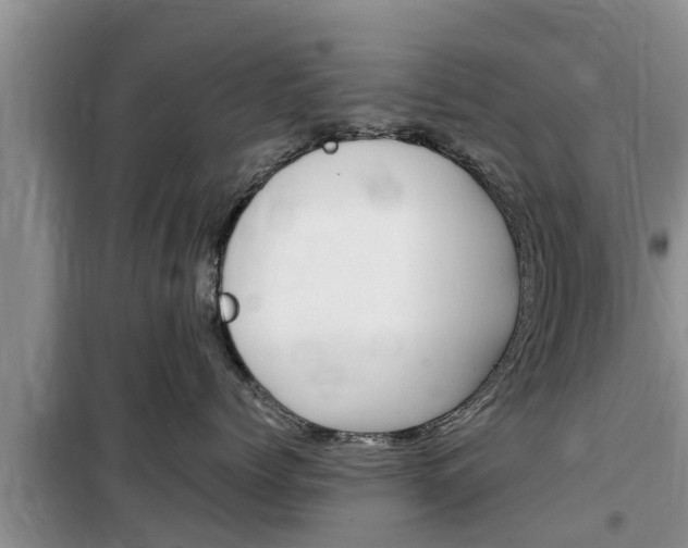 X0000100190768200805300724