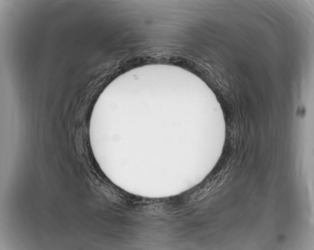 X0000100190769200805300724
