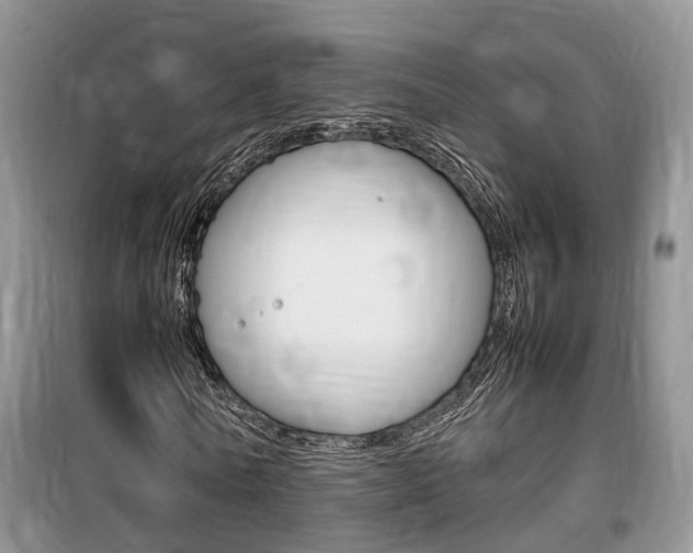 X0000100190770200805300724