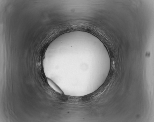 X0000100190771200805300724