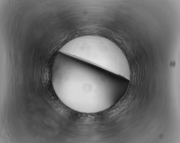 X0000100190772200805300724
