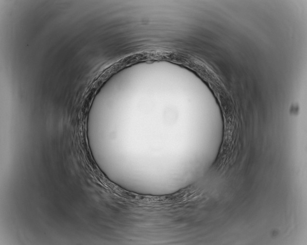 X0000100190773200805300724