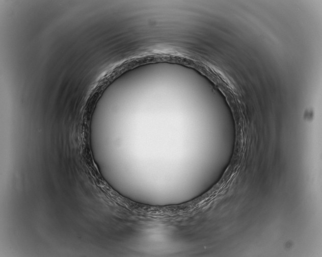 X0000100190776200805300724
