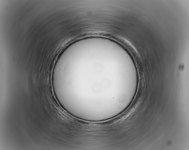 X0000100190777200805300724