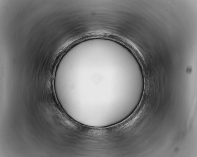 X0000100190778200805300723