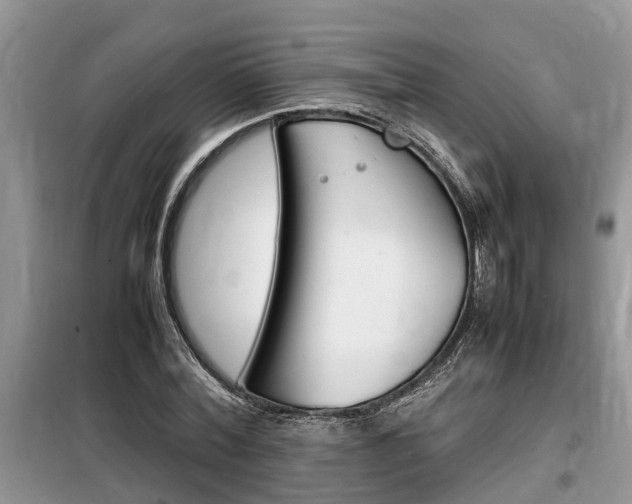 X0000100190780200805300723