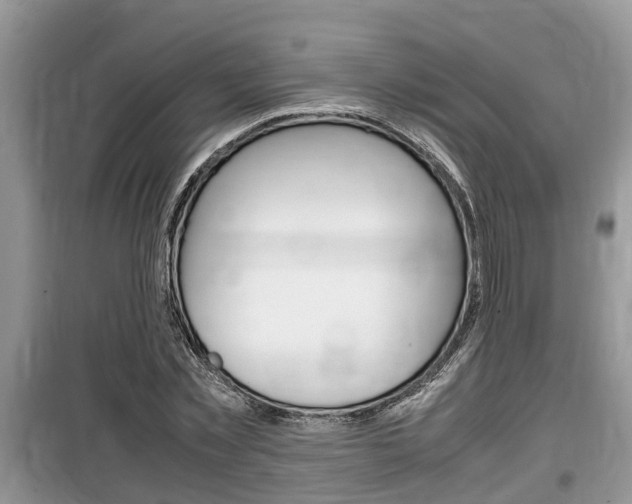 X0000100190781200805300723