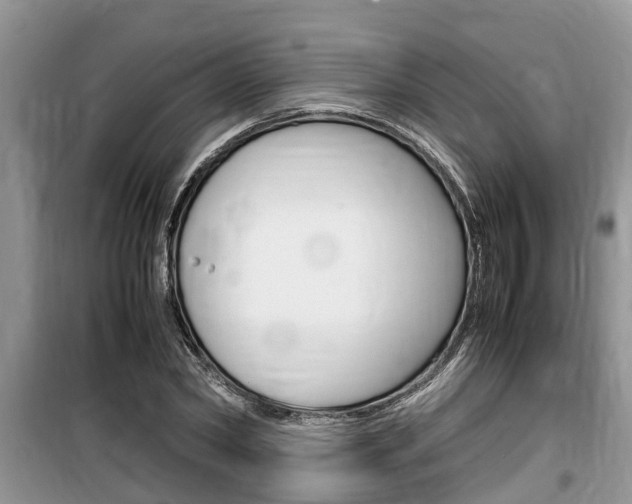X0000100190782200805300723