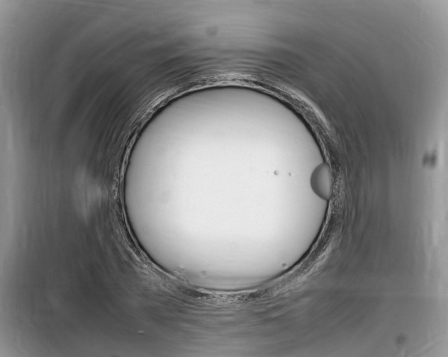 X0000100190785200805300723