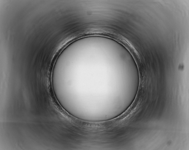 X0000100190786200805300723