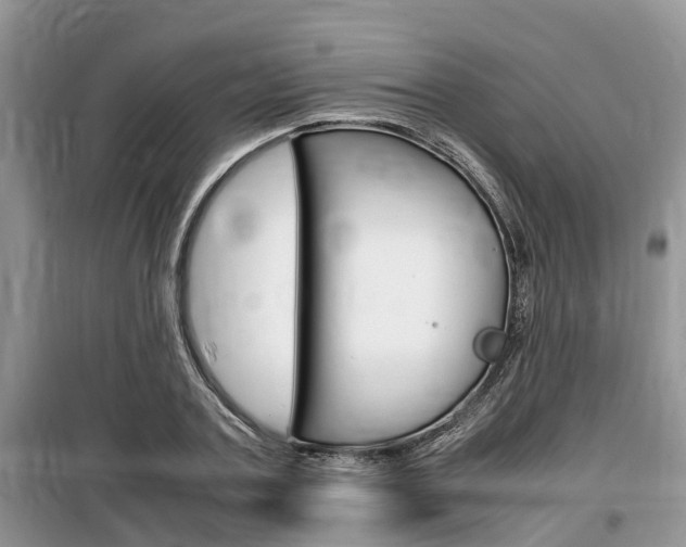 X0000100190787200805300723