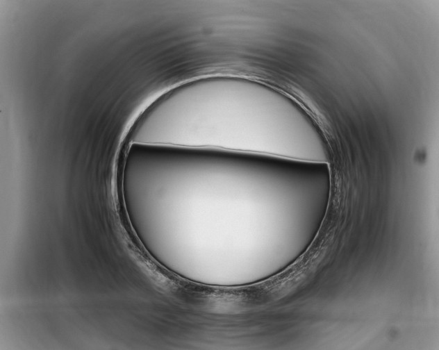 X0000100190788200805300723