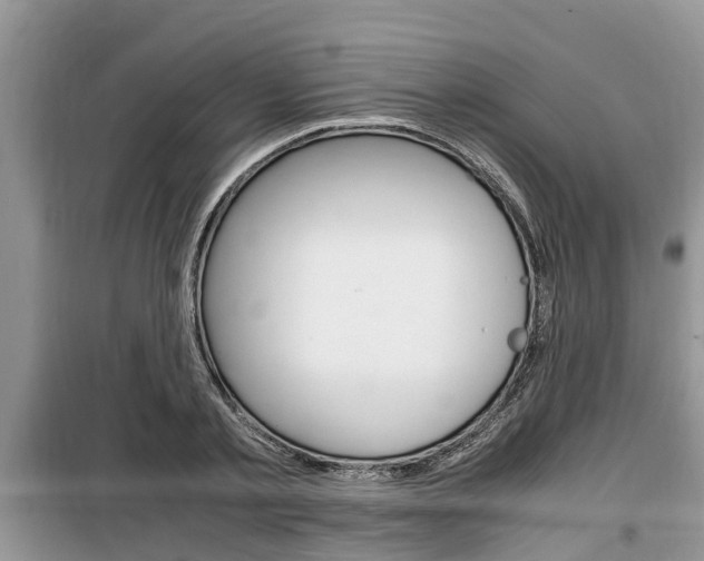 X0000100190789200805300723