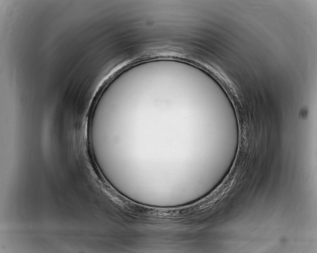 X0000100190790200805300723