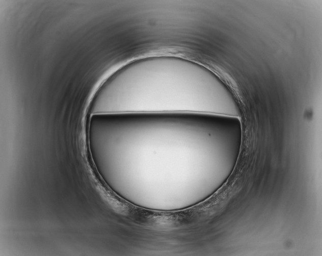 X0000100190792200805300723