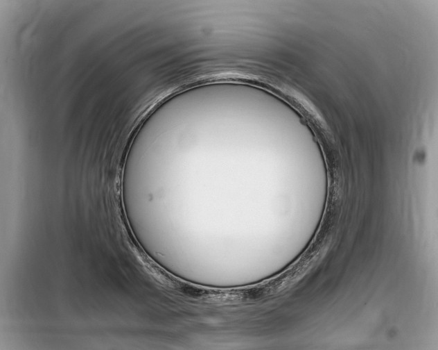 X0000100190793200805300723
