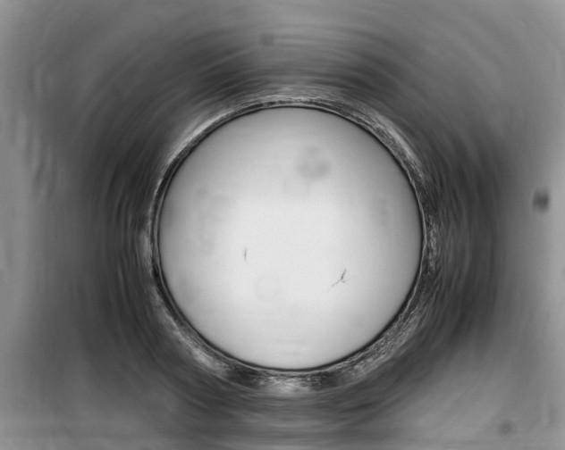 X0000100190794200805300723