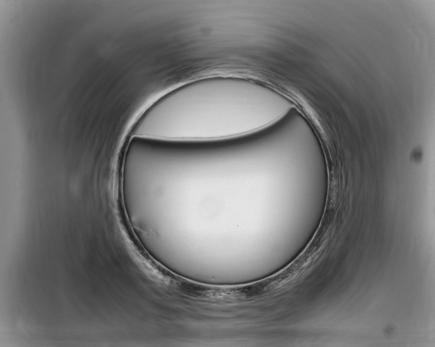 X0000100190795200805300723