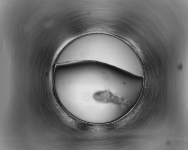 X0000100190796200805300723