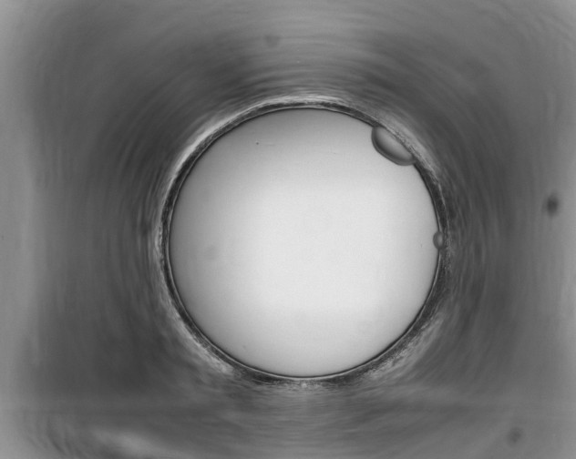 X0000100190797200805300723
