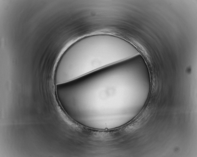X0000100190800200805300723