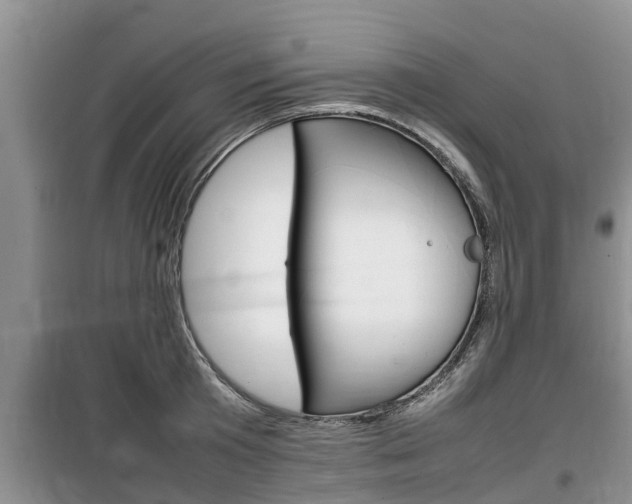 X0000100190801200805300723