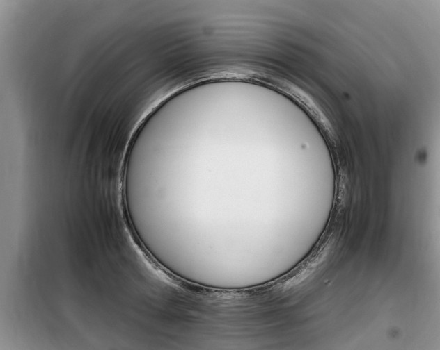 X0000100190802200805300723