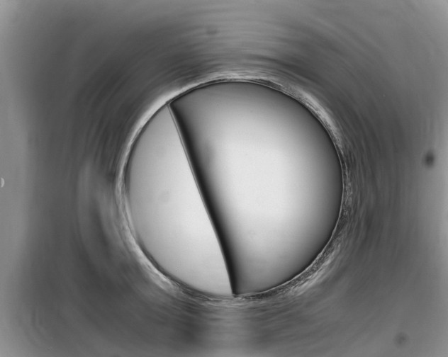 X0000100190803200805300723