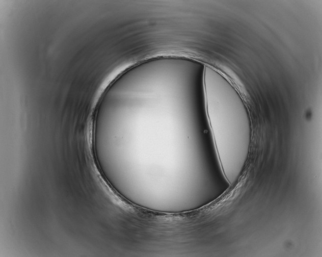 X0000100190804200805300723