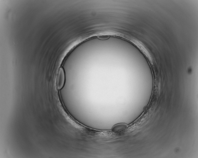 X0000100190805200805300723