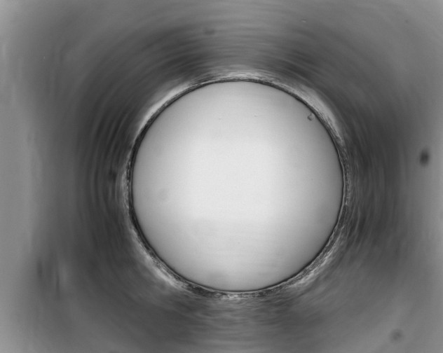 X0000100190806200805300723