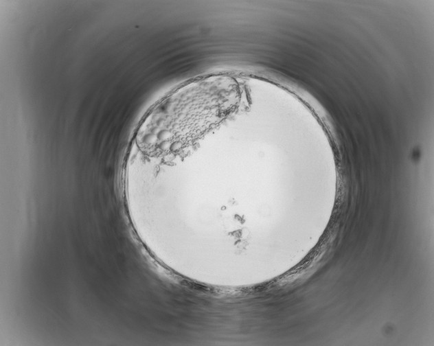 X0000100190807200805300723