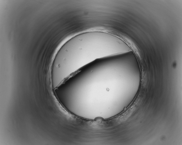 X0000100190808200805300723
