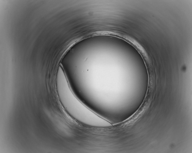 X0000100190809200805300723