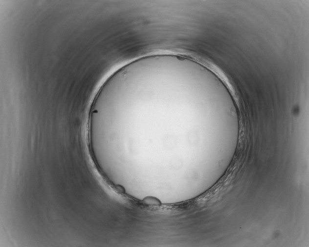 X0000100190811200805300723