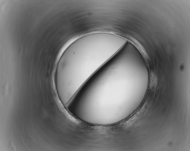 X0000100190812200805300723